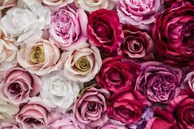 A fine, sumptuous country cottage in the english taste overgrown with fragrant flowers, with flower beds going round the house; 8 Awe Inspiring Benefits Of Rosewater Must Know Cleopatra S Secret