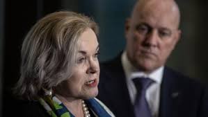 Turning pine slash into fuel: The promise of a local $600m marine biofuel  industry