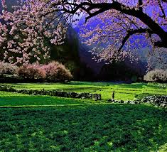 Mishmash Scenery Adventure Is Out There Places Of Interest