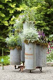 How to grow shrubs in containers 15 photos. Galvanized Container Garden With A Steam Punk Theme Planters Container Gardening Garden Containers