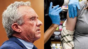 Phoenix Elementary board president resigns after contentious public meeting