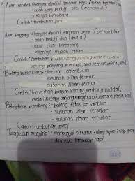 Daunnya tidak berbentuk memanjang, tetapi cenderung membulat. Kacang Panjang Akar Batang Daun Akarkua