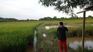 Tribunkaltim.co, malinau hari ini, senin (26 4 2021), bupati dan wakil bupati malinau periode 2021 2024 dilantik oleh gubernur kalimantan utara, zainal arifin paliwang di ibu kota provinsi, tanjung selor. Produktivitas Melimpah Perusda Kewalahan Serap Gabah Petani Bupati Malinau Akui Rp 3 M Belum Cukup Tribun Kaltim