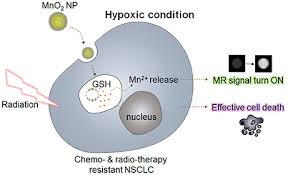 Green synthesis of metal nanoparticles via natural extracts: Frontiers Redox Responsive Manganese Dioxide Nanoparticles For Enhanced Mr Imaging And Radiotherapy Of Lung Cancer Chemistry