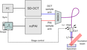 This technology relies on the usage of optical channels which are 20 nm from each other. Multimodal Noncontact Photoacoustic And Optical Coherence Tomography Imaging Using Wavelength Division Multiplexing