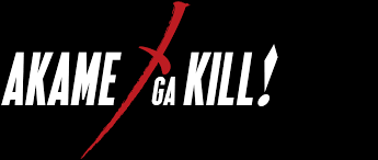 After being robbed by a mysterious woman, however, his dreams. Akame Ga Kill Netflix