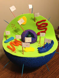 Animal Cell Model 5th Grade Animal Cell Project Ideas Animal Cell Model Labeled 3d Animal Cell Model Ani Animal Cell Animal Cell Project Animal Cells Model