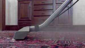 Maybe you would like to learn more about one of these? Professional Carpet Cleaners In Houston Tx Carpet Cleaning