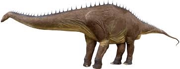 Image result for Diplorhynchus