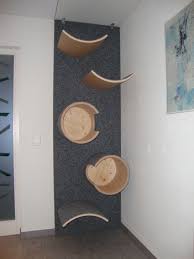 Bildergebnis Fur Wandkratzbaum Selber Bauen Wandkratzbaum Kratzbaum Selber Bauen Kratzbaum