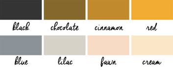 So, you are new to the world of cats. Cat Breeds Colors Patterns Simplified Groomer To Groomer Magazine