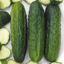 Maybe you would like to learn more about one of these? Sassy Hybrid Cucumbers Gurney S Seed Nursery Co