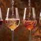 Friday Night Wine Tasting $20 - 5 Tastes
