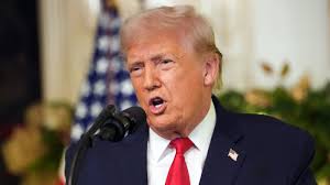 Therapy bunny at SF ballpark brings smiles, is instant hit