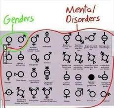 Genders Vs Mental Disorders There Are Only 2 Genders Know Your Meme