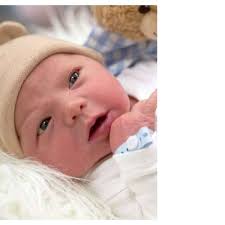 HZ Babygalerie April 2022