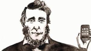 Not a Luddite, Not a Thoreauvian