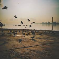 Pantai Stulang Laut Johor Scenic Scenic Views