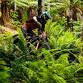Enduro Jam - Maydena Bike Park event image