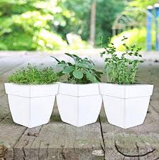 Flowers in pots near me. Kraft Seeds Modern White Plastic Flower Pots Come With A Drill Hole In The Base For Drainage Pack Of 3 10 Inch Pots Amazon In Garden Outdoors