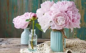 Bouquet of pink peonies on a white table. Growing Peonies Types Of Peonies Peony Plant Care
