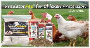 I tried by filling in the holes, laying poisoned meat and meal, setting traps, etc., finally i found a simple and effective method to prevent the rats from coming in. Chicken Protection Predator Deterrent Predatorpee Store