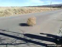 And the tumbleweeds tumble at 2:00, 4:00 and 6:00. Tumble Weed Gif Tumbleweed Discover Share Gifs