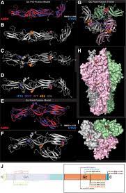 Other settings are already installed by default. Neutralizing Monoclonal Antibodies Against The Gn And The Gc Of The Andes Virus Glycoprotein Spike Complex Protect From Virus Challenge In A Preclinical Hamster Model Mbio