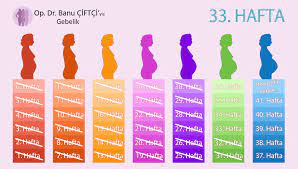 33 haftalık gebelik bebek büyüdükçe genişleyen karın ve incelen deri duvarı sayesinde bebeğinize yansıyan ışık oranı artacaktır ve bebeğiniz gece gündüz gelişen göz kapakları ile 33 haftalık gebelik bebek kilosu kadınlar kulübü uyku durumu ve dışında göz kapaklarını açıp kapamaya başlayacaktır. Fikri Endam Gebelik Halleri