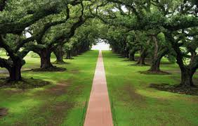 For wide is the gate, and broad is the way, that leadeth to destruction, and many there be which go in thereat: Getting It Strait