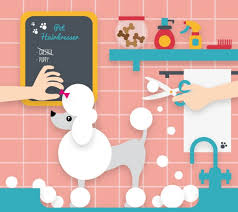 That's why we never use cages, kennel. 9 Things To Know Before Getting Into The Pet Grooming Business