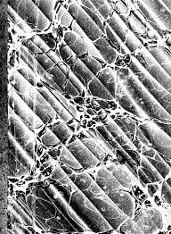 Desire analhub.ru naked-girl-voyeur ignited here.