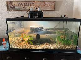 It has a unique self leveling feature that automatically adjusts to all water levels. Zoo Med 40 Gallon Turtle Aquatic Kit Reptile Terrariums Petsmart