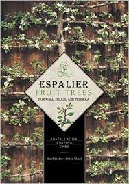 We did not find results for: Espalier Fruit Trees For Wall Hedge Pergola Installation Shaping Care Amazon Co Uk Karl Pieber Peter Modl 8601416317922 Books