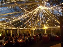 Best Outdoor Party Lights Hawk Haven
