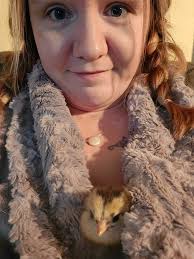 Everything Backyard Chicken!