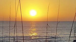 Obituary information for Maribeth Watkins