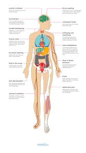 Anaphylaxis causes the immune system to release a flood of chemicals that can cause a person to go into shock. 15 Effects Of Anaphylaxis On The Body