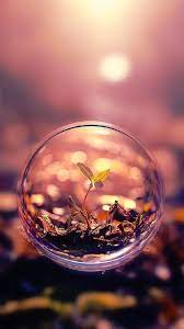 Crystal Ball Photography Ideas Photo Example Abrittonphotography Bubbles Wallpaper Cool Wallpapers For Iphone 7 Beautiful Macro Photography
