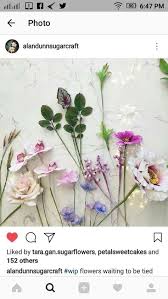 In this title, the designs include many species of orchid, rhizomes, gingers, heliconias, bird of paradise, bougainvillea and more. 31 Alan Dunn Sugarcraft Ideas Sugar Flowers Gum Paste Flowers Cold Porcelain Flowers