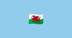 Wales emoji appears on twitter twemoji 13.0.2.it may appear differently on other platforms. Flag Wales Emoji On Google Android 8 0