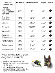 10 Exact Bulldog Holster Fit Chart