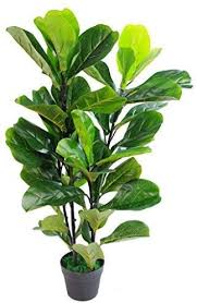 Will this be a productive tree or do i need to start over? Leaf Design Uk Artificial Plant Fiddle Fig Tree Black Plastic Pot Green 90cm Buy Online At Best Price In Uae Amazon Ae