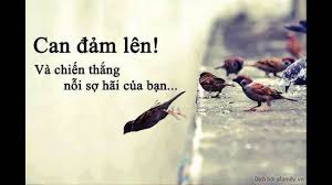 Kết quả hình ảnh cho sợ hãi