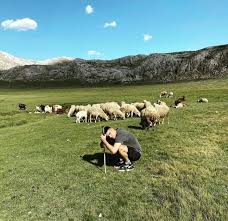 Simax Adli Kullanicinin Reynmen Panosundaki Pin 2020 Komik Seyler Komik Nevada