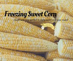Freezing Sweet Corn