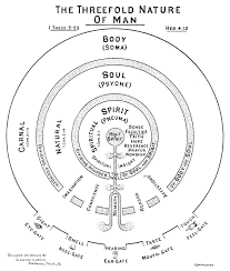C59 Jpg 1387 1632 Spirit Science Spirit Spirituality