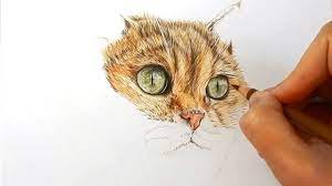 How to draw fur in colored pencil. In This Video I Explain How I Draw Fur Of A Cat With Colored Pencils Check Out Color Pencil Art Color Pencil Drawing Drawings
