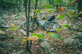 You cannot jump in animal crossing. Virginia Mountain Bike Trail Vmbt Bikepacking Com