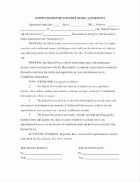 Timeshare Contract Template Beautiful Timeshare Contract Template ...